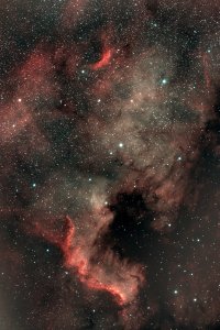 North America Nebula