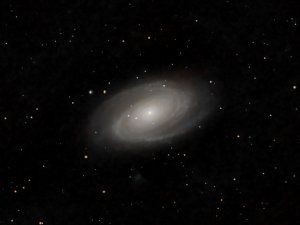 M81