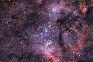 The Elephant's Trunk Nebula (IC 1396A)